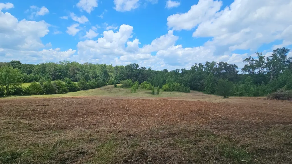 219 Thomas Farms Lane Morrison TN 37357