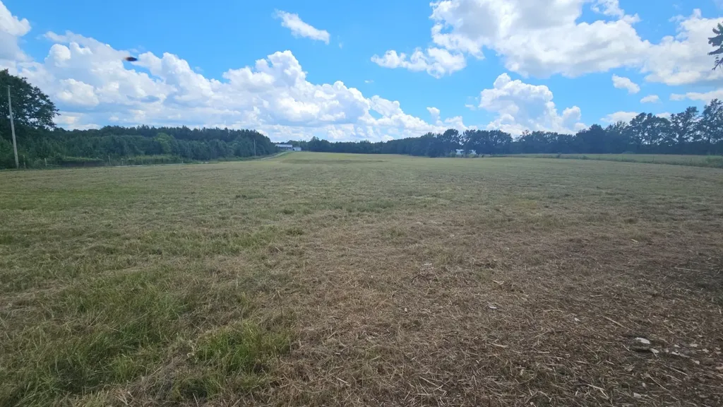 219 Thomas Farms Lane Morrison TN 37357