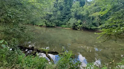 219 Thomas Farms Lane Morrison TN 37357