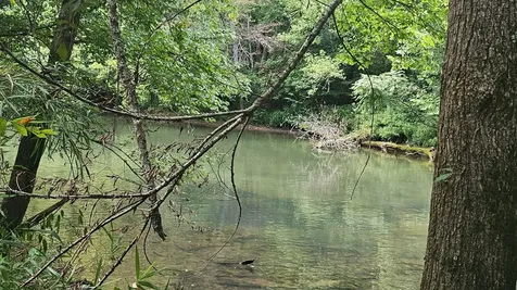 219 Thomas Farms Lane Morrison TN 37357