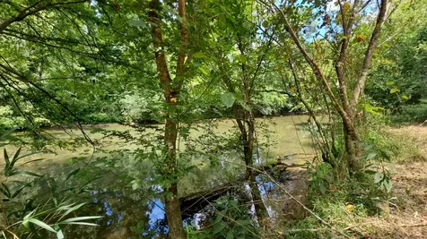 219 Thomas Farms Lane Morrison TN 37357