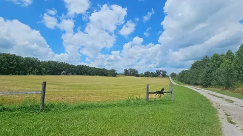 219 Thomas Farms Lane Morrison TN 37357