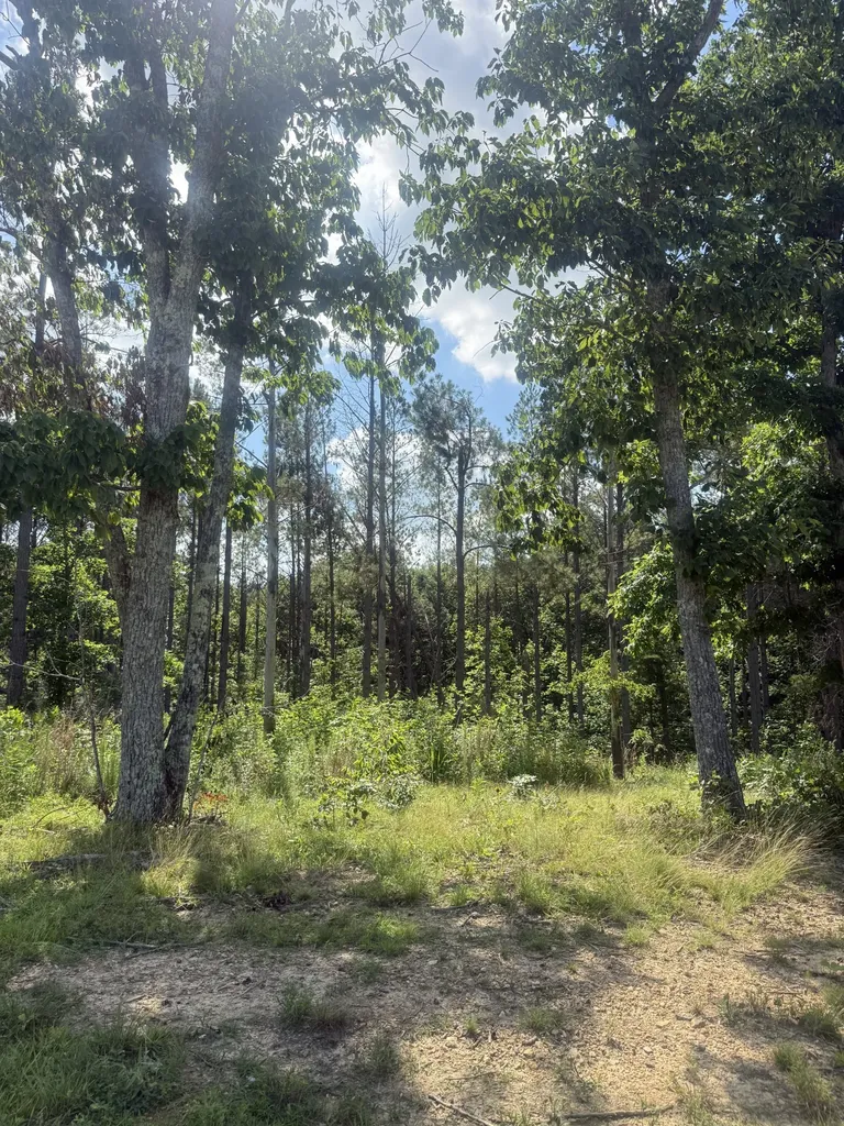 251 Fox Ridge Road Hohenwald TN 38462