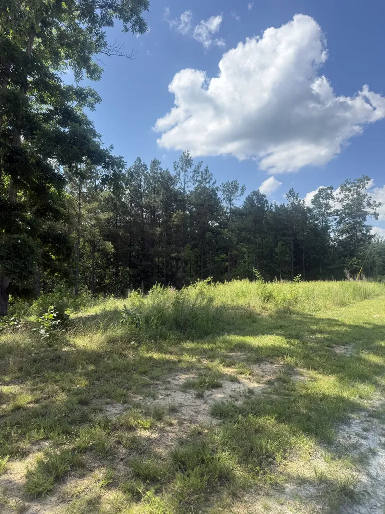 251 Fox Ridge Road Hohenwald TN 38462
