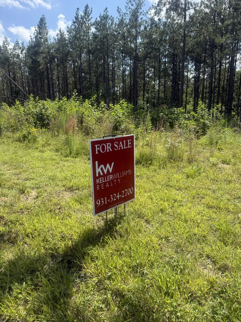251 Fox Ridge Road Hohenwald TN 38462