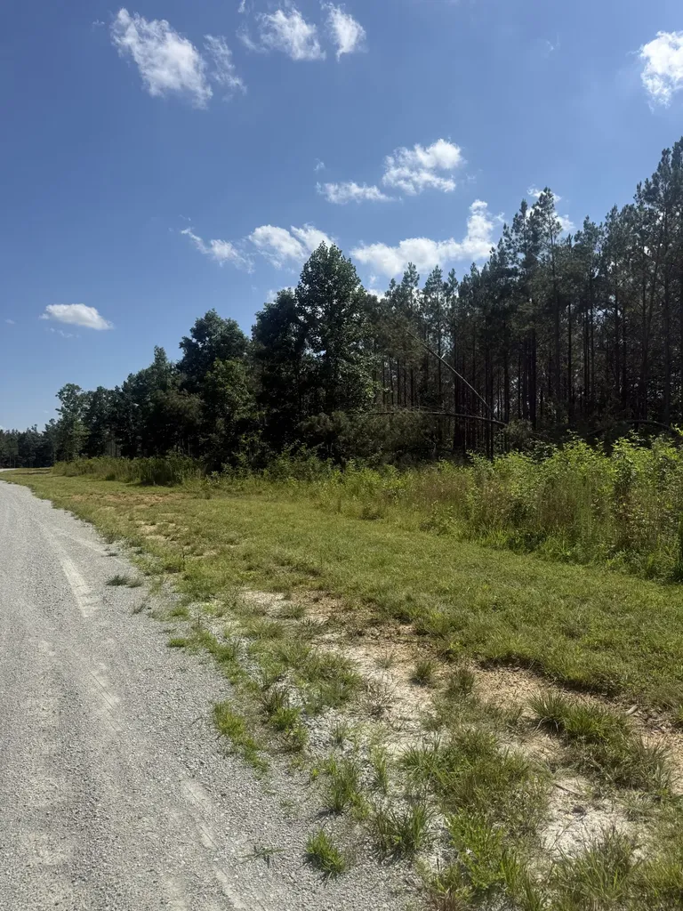 251 Fox Ridge Road Hohenwald TN 38462
