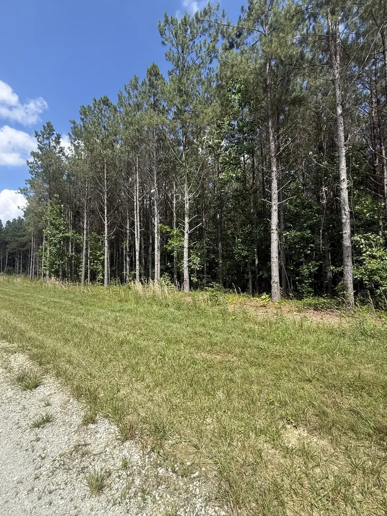 251 Fox Ridge Road Hohenwald TN 38462