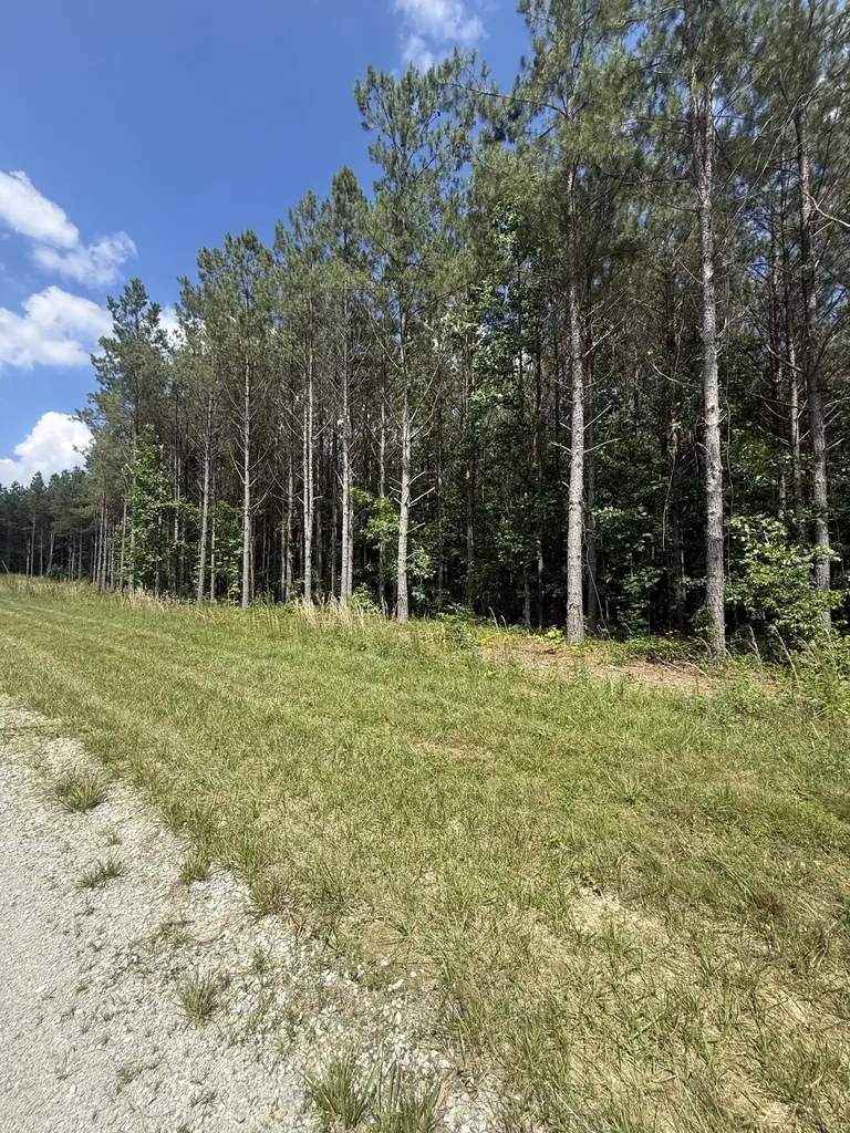 251 Fox Ridge Road Hohenwald TN 38462