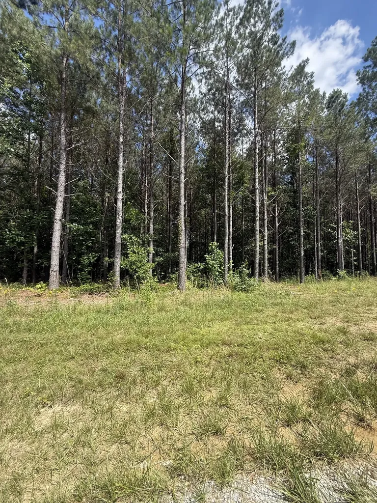 251 Fox Ridge Road Hohenwald TN 38462