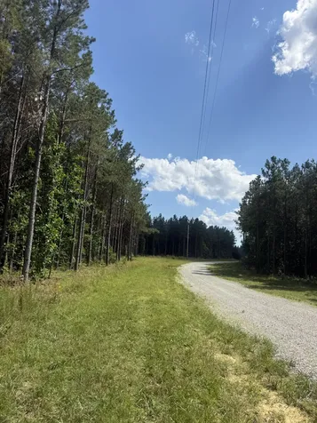 251 Fox Ridge Road Hohenwald TN 38462