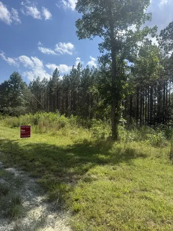 251 Fox Ridge Road Hohenwald TN 38462