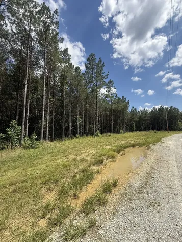 251 Fox Ridge Road Hohenwald TN 38462