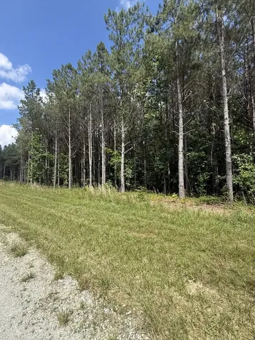 251 Fox Ridge Road Hohenwald TN 38462