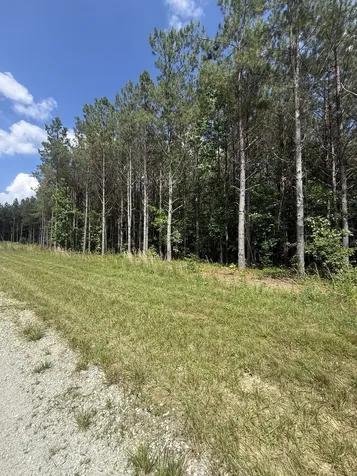 251 Fox Ridge Road Hohenwald TN 38462