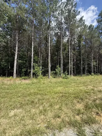 251 Fox Ridge Road Hohenwald TN 38462