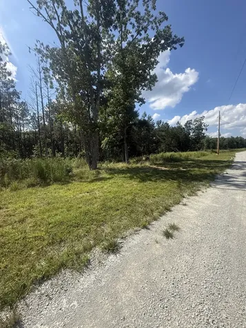 251 Fox Ridge Road Hohenwald TN 38462