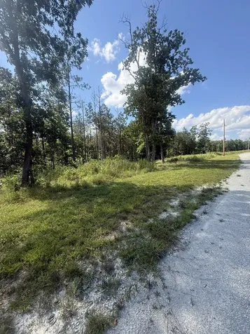 251 Fox Ridge Road Hohenwald TN 38462