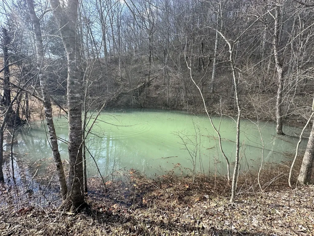 0 Little Creek Road Pleasant Shade TN 37145