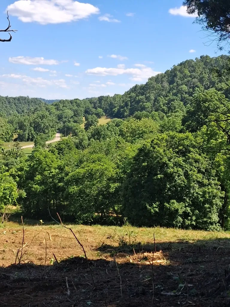 0 Little Creek Road Pleasant Shade TN 37145