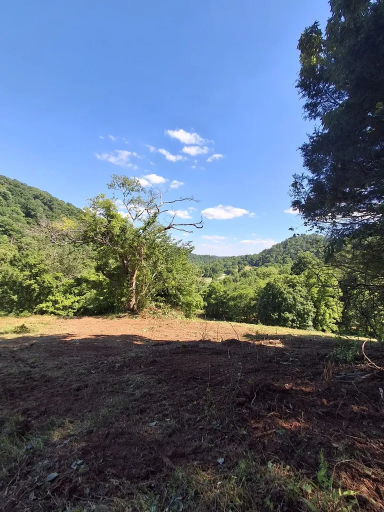 0 Little Creek Road Pleasant Shade TN 37145