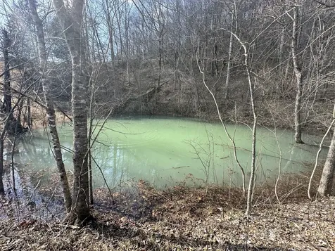 0 Little Creek Road Pleasant Shade TN 37145