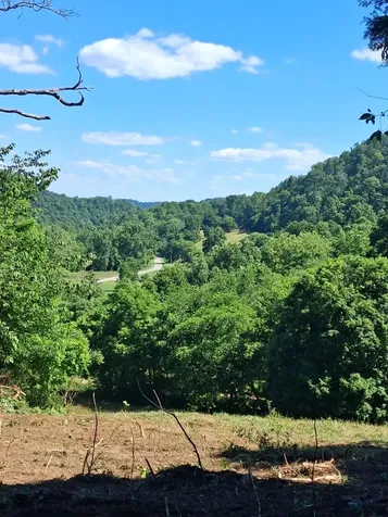 0 Little Creek Road Pleasant Shade TN 37145