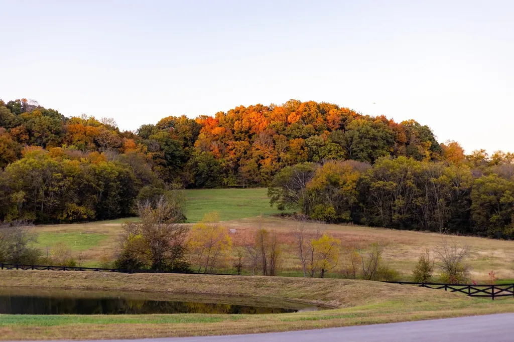 2021 Vista Creek Lane Franklin TN 37064