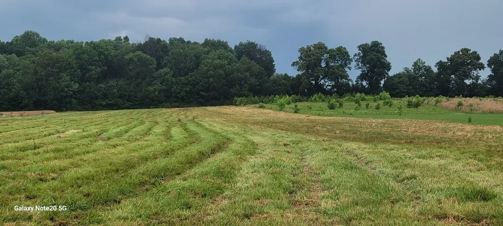 2 Shady Grove Road Morrison TN 37357