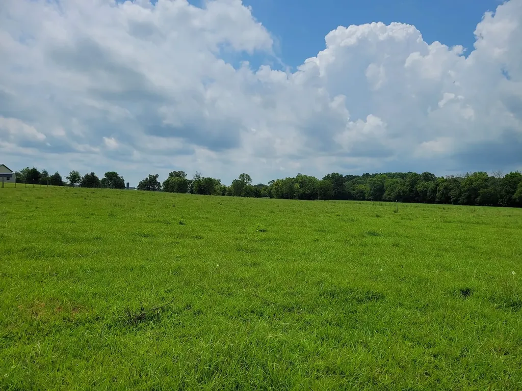 2 Shady Grove Road Morrison TN 37357