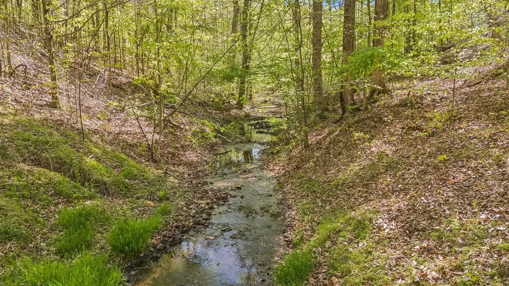5308 Waddell Hollow Road Franklin TN 37064