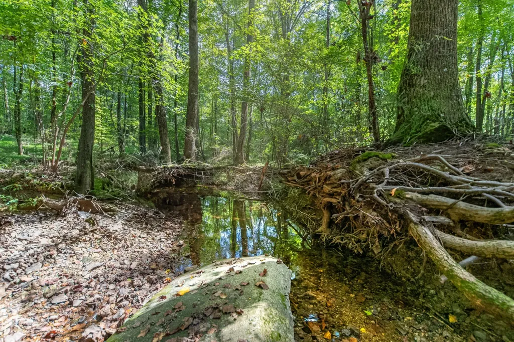 812 Good Hope Road Leoma TN 38468