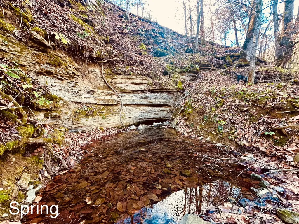 1611 Knob Creek Road Celina TN 38551