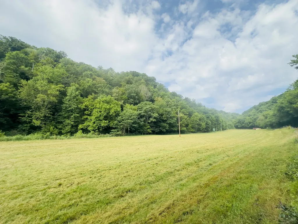 1611 Knob Creek Road Celina TN 38551