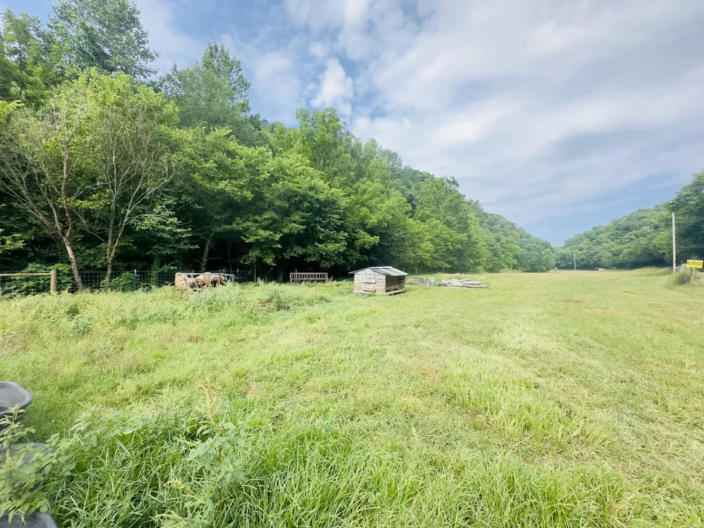 1611 Knob Creek Road Celina TN 38551