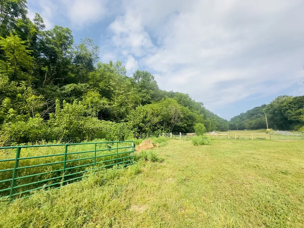 1611 Knob Creek Road Celina TN 38551