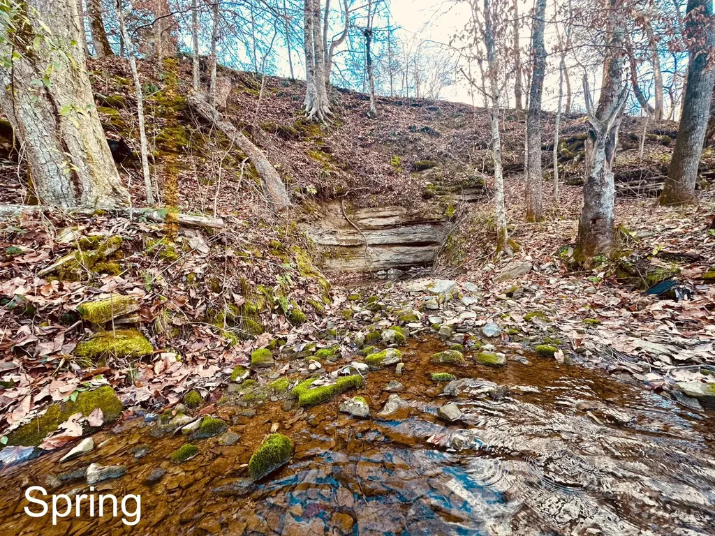1611 Knob Creek Road Celina TN 38551