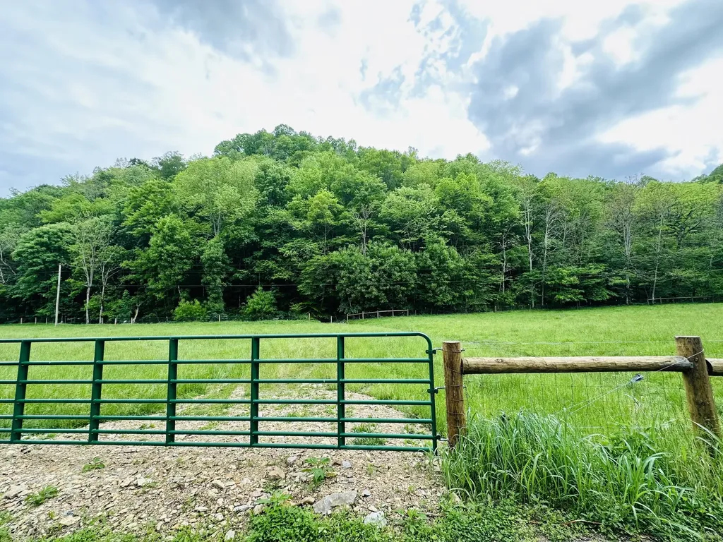 1611 Knob Creek Road Celina TN 38551