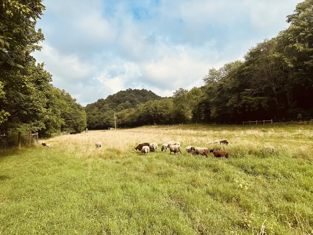 1611 Knob Creek Road Celina TN 38551