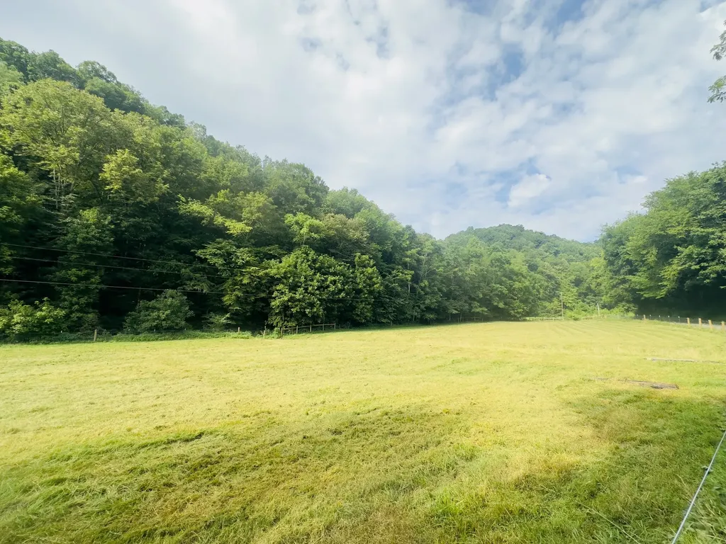 1611 Knob Creek Road Celina TN 38551