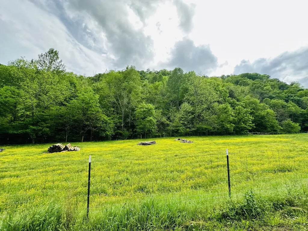 1611 Knob Creek Road Celina TN 38551