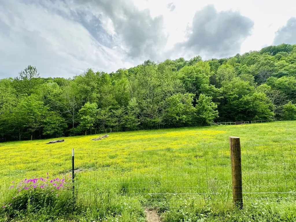 1611 Knob Creek Road Celina TN 38551