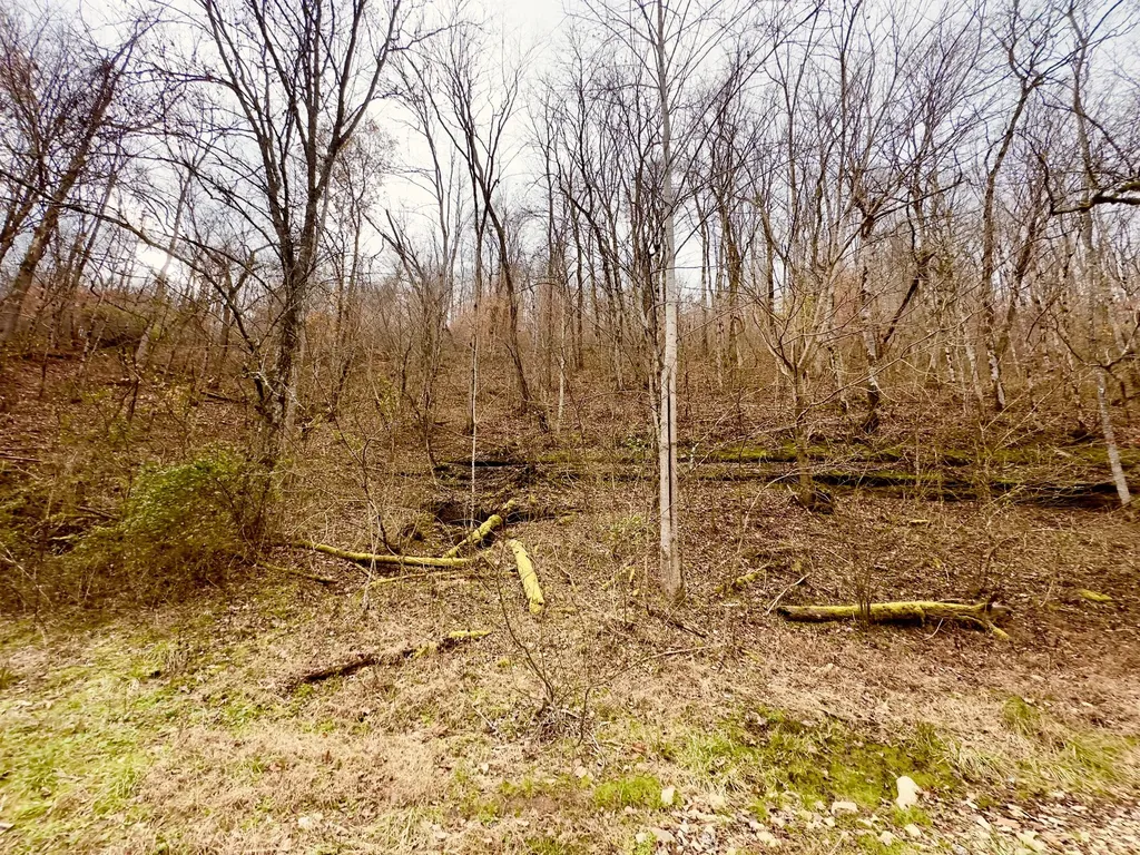 1611 Knob Creek Road Celina TN 38551