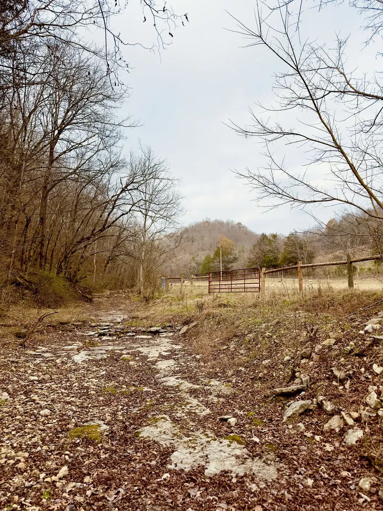 1611 Knob Creek Road Celina TN 38551