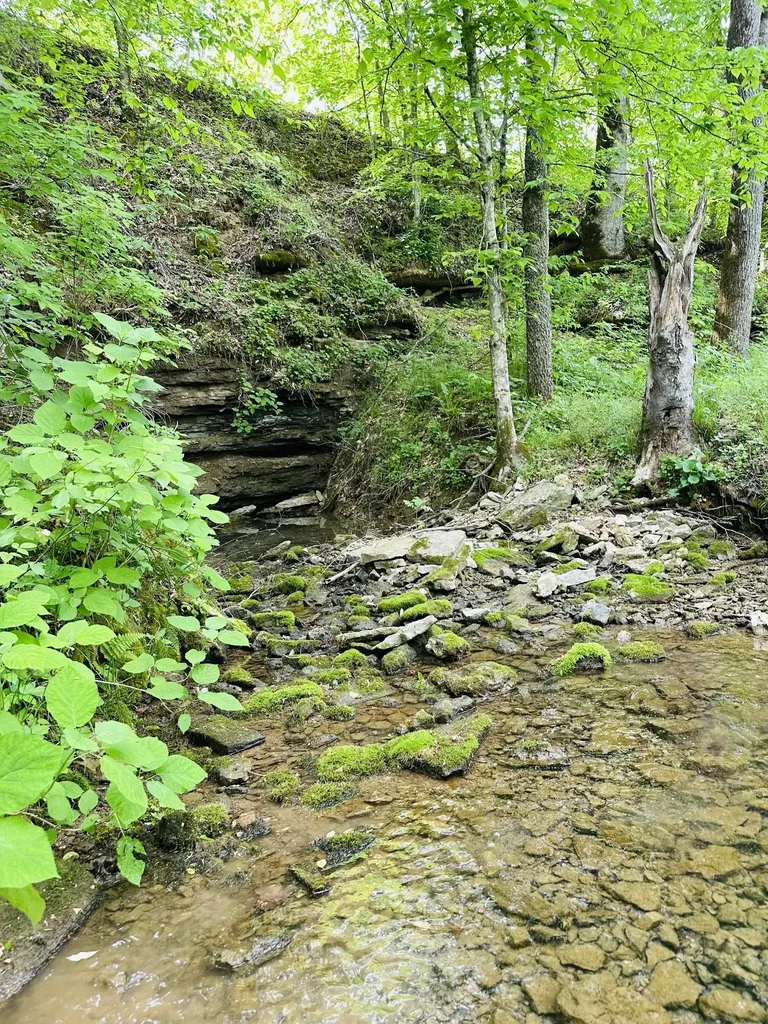 1611 Knob Creek Road Celina TN 38551