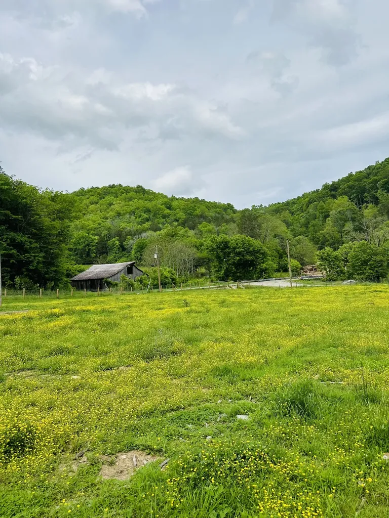 1611 Knob Creek Road Celina TN 38551