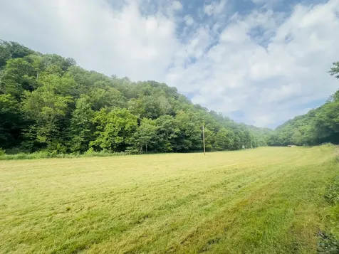 1611 Knob Creek Road Celina TN 38551