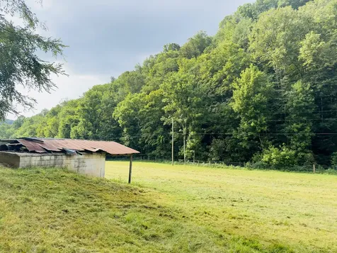 1611 Knob Creek Road Celina TN 38551