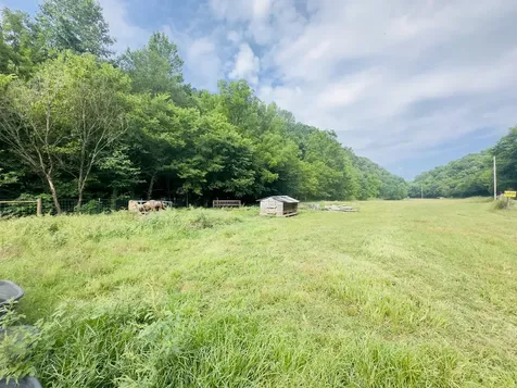 1611 Knob Creek Road Celina TN 38551