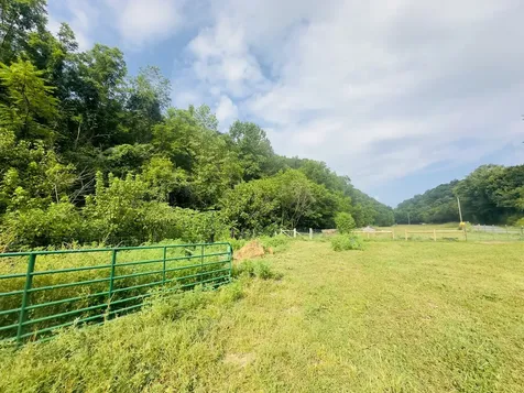 1611 Knob Creek Road Celina TN 38551