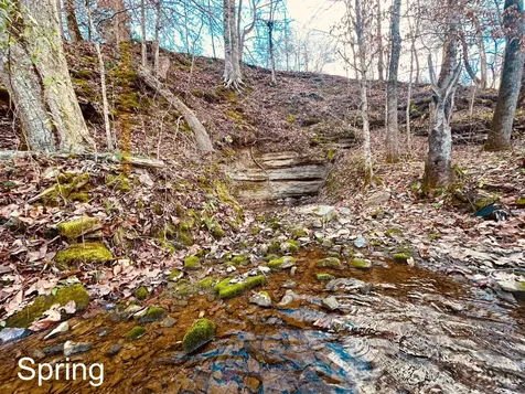 1611 Knob Creek Road Celina TN 38551
